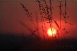 <p>Šluknovsko - západ slunce na Knížecí</p>